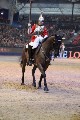 Cavalry - 00240